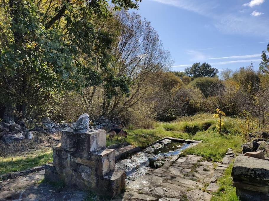 Casa Rural Tozolosolobos Otero de Bodos Εξωτερικό φωτογραφία