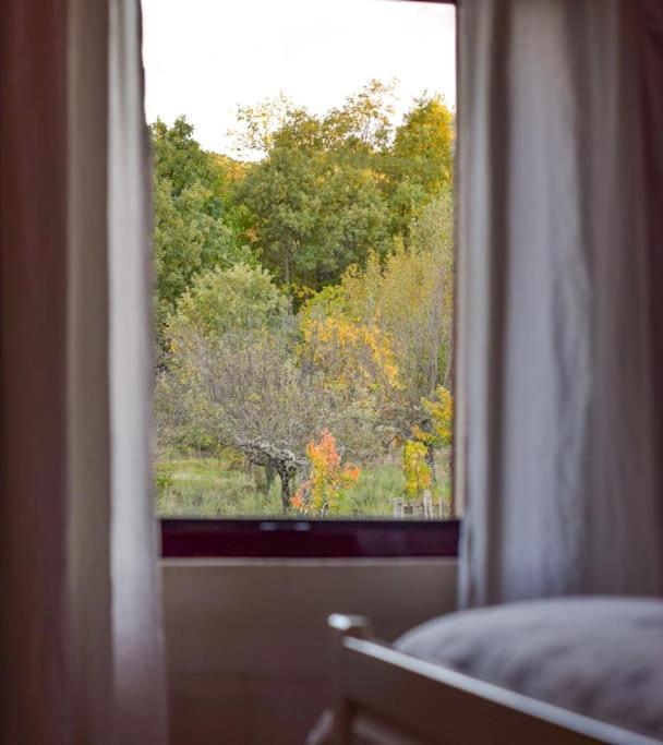 Casa Rural Tozolosolobos Otero de Bodos Εξωτερικό φωτογραφία