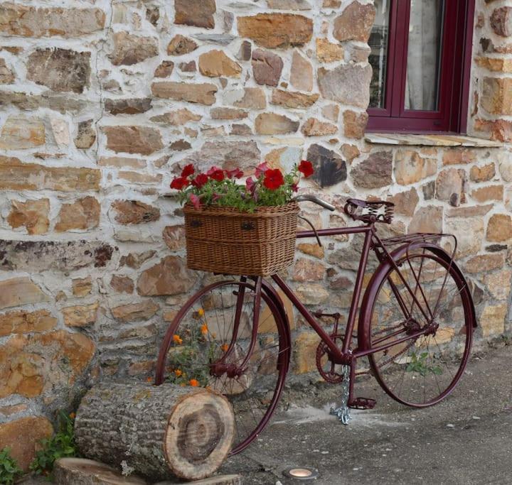 Casa Rural Tozolosolobos Otero de Bodos Εξωτερικό φωτογραφία
